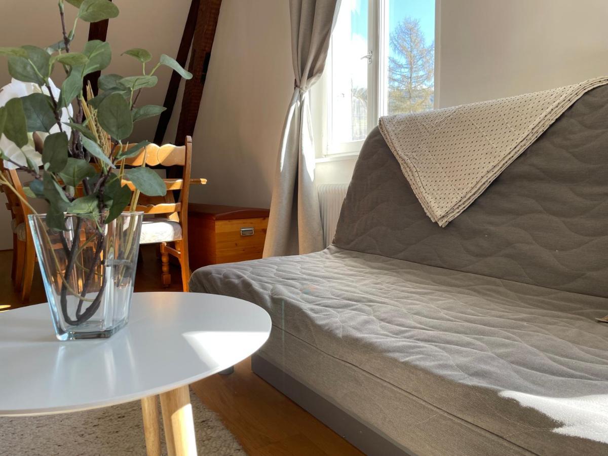 Bodensee Rooms לוכאו ביי ברגנץ מראה חיצוני תמונה